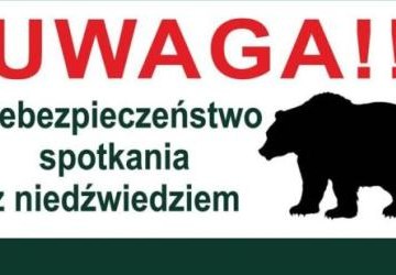 Ostrzeżenie dotyczące niedźwiedzia