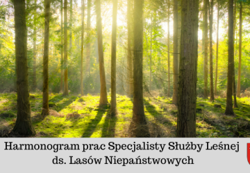 Harmonogram prac Specjalisty Służby Leśnej ds. Lasów Niepaństwowych - kwiecień