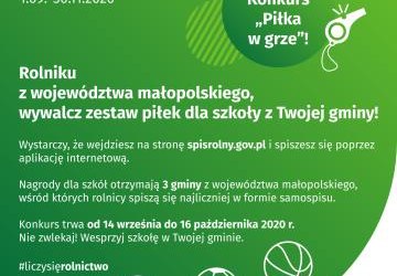 Konkurs „Piłka w grze”