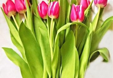 Życzenia z Okazji Dnia Pracownika Socjalnego